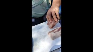 Неделька на природе. 1 часть 
Рыбалка, приготовление еды.