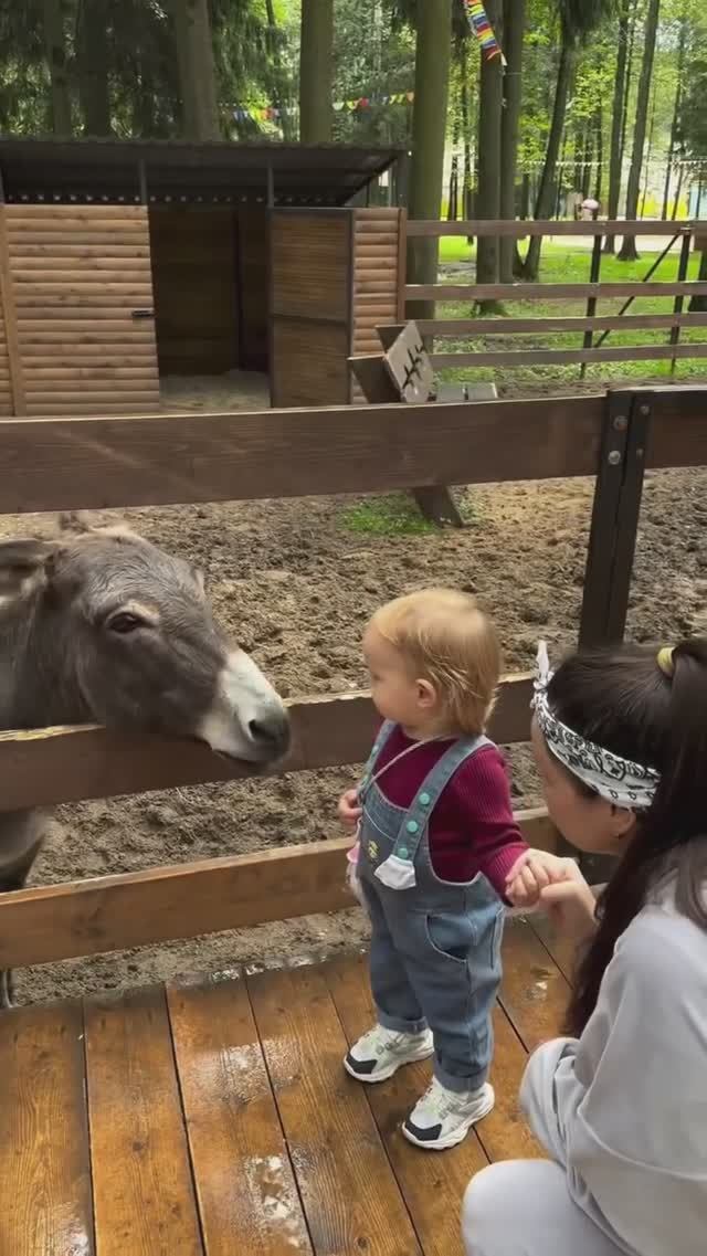 #familyvlog #прикол #блогер #family #юмор