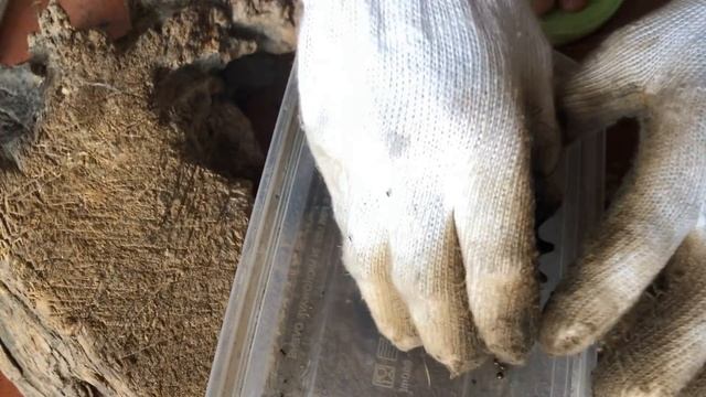 Музей ржавчины - Восстанавливаю старый велосипед подручными средствами. Часть 1