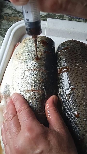 КОПЧЁНАЯ ФОРЕЛЬ С ГРАНАТОВЫМ СОУСОМ #еда #копченаярыба