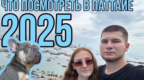 Что посмотреть в Паттайе 2025? Dogs Cafe / Jumtien night market / Смотровые площадки