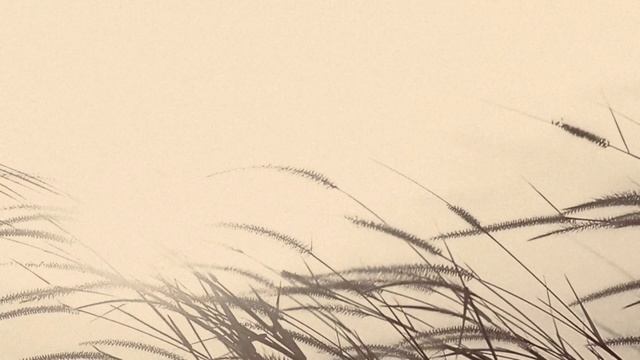 Наталья Качура - СПЯТ КУРГАНЫ ТЁМНЫЕ