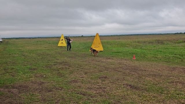 6.  выражено/пож OSTEN STERN OKSY (Napoli v. Bad-Boll – Osten Stern Olesya)