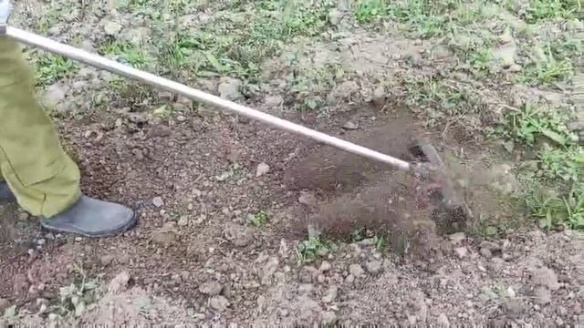 Триммер с пропольником.  Упрощаем прополку междурядий картошки.