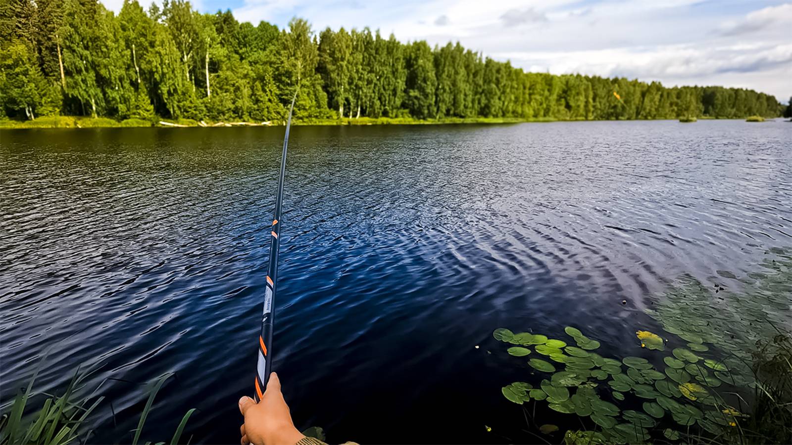 О таких рыбалках умалчивают. Первые потуги в поплавочной ловле смотреть онлайн