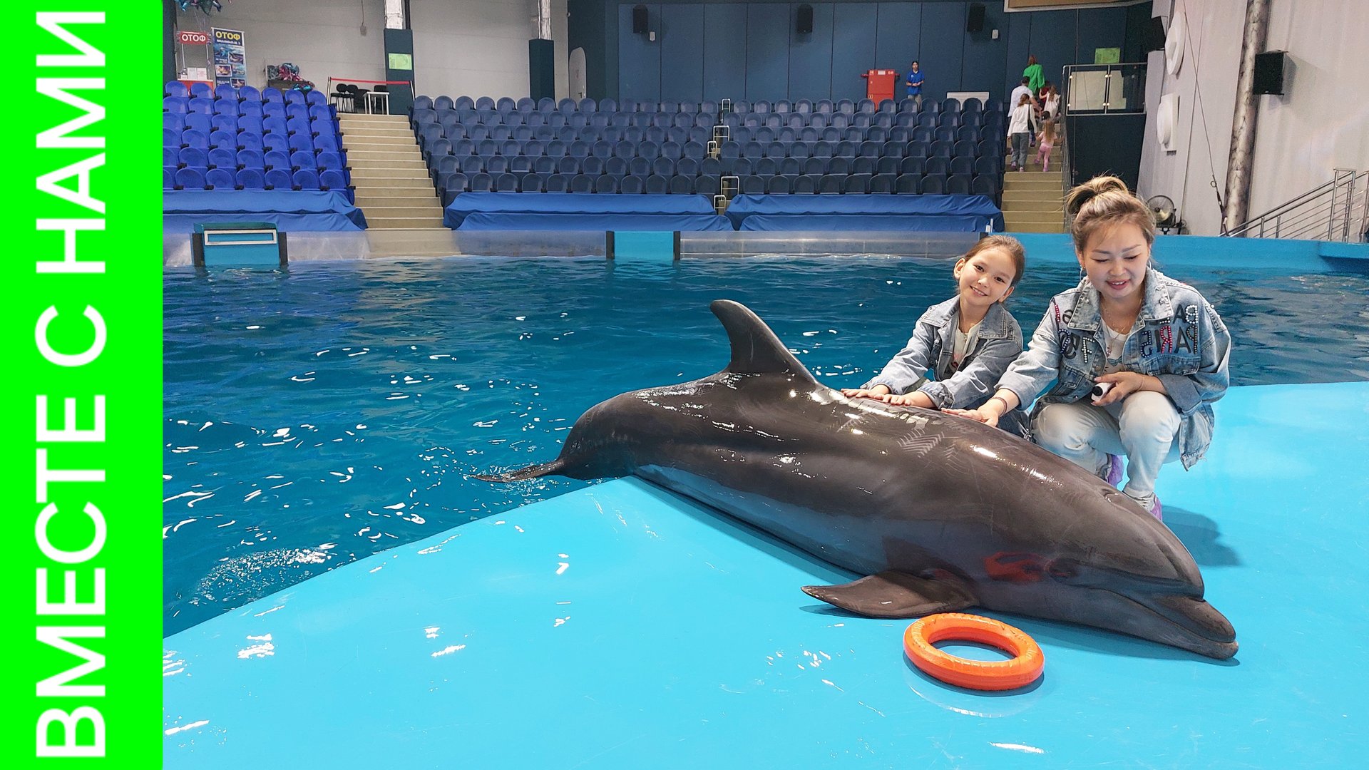 ЕКАТЕРИНБУРГ. Шоу с дельфинами. Мечты сбываются! смотреть онлайн