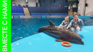 ЕКАТЕРИНБУРГ. Шоу с дельфинами. Мечты сбываются!