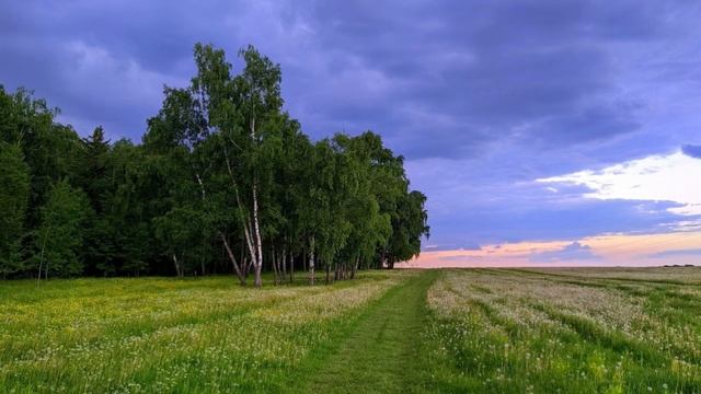 Красивое чтение Корана ислам субхи смотреть онлайн