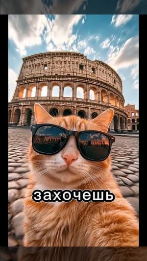 жизнь кота😉