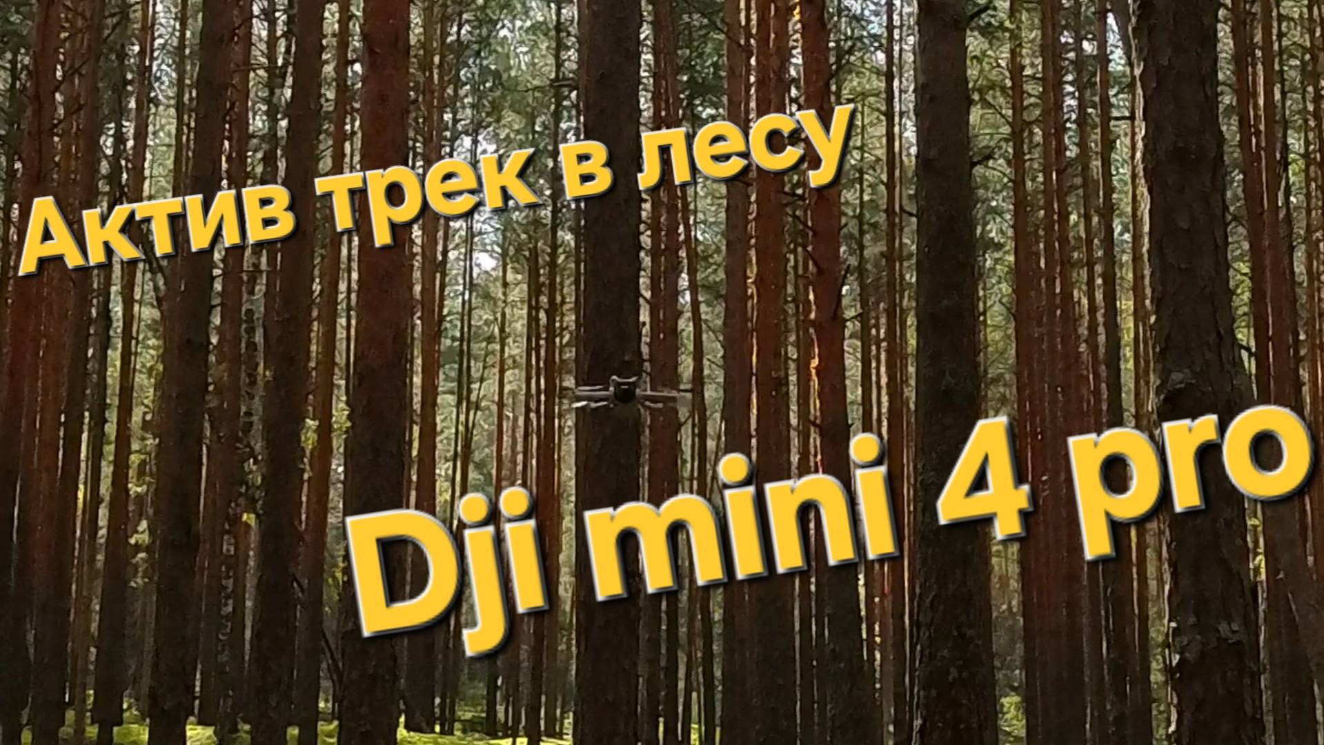 Dji Mini 4 Pro - активтрек в лесу!