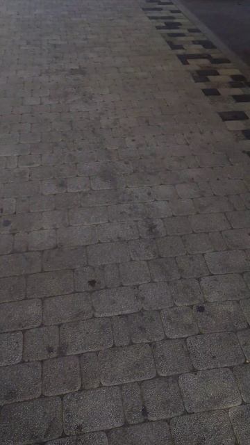 привет 1 сентября и привет школа