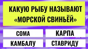 99% зрителей не отвечают правильно. А ты справишься? интересные тесты на эрудицию