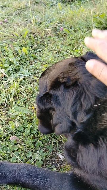 Последние дни лета