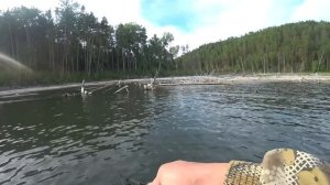 Невезучие на рыбалке. Богучаны ржут!!!