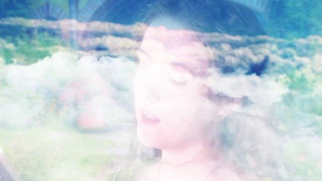 Der Luchs - Skydiving Dreams