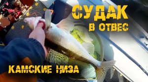 Судак в отвес, захватывает! Ловля капризного осеннего судака, р.Кама.