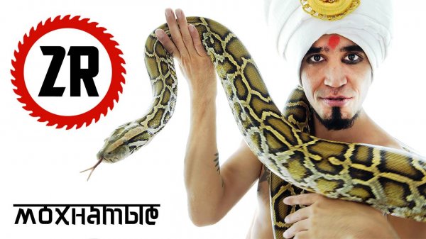 2rbina 2rista - Мохнатые