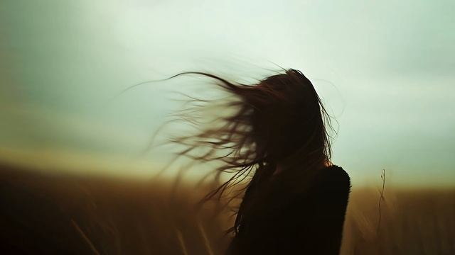 The Field - Ambient music compilation by NEOUS