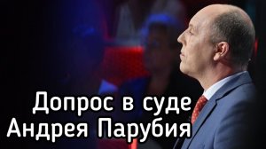 Как адвокат Януковича лысого гонял: Допрос Парубия, Что рассказал о преступлениях Майдана