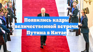 Появились кадры величественной встречи Путина в Китае