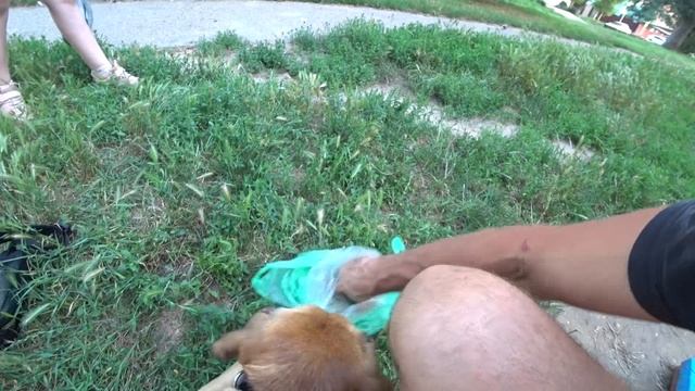 Странное поведение Пэска. Я за переживал.