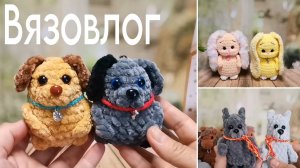 Вязовлог августа 2025 //Много Зайчиков, собачек, котиков и даже волков.