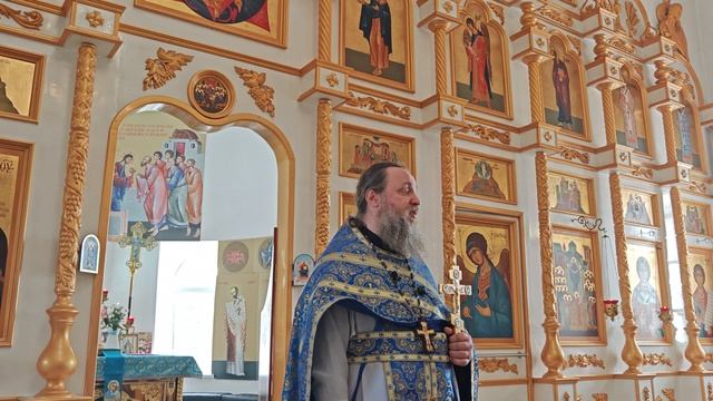 Читайте книги! смотреть онлайн