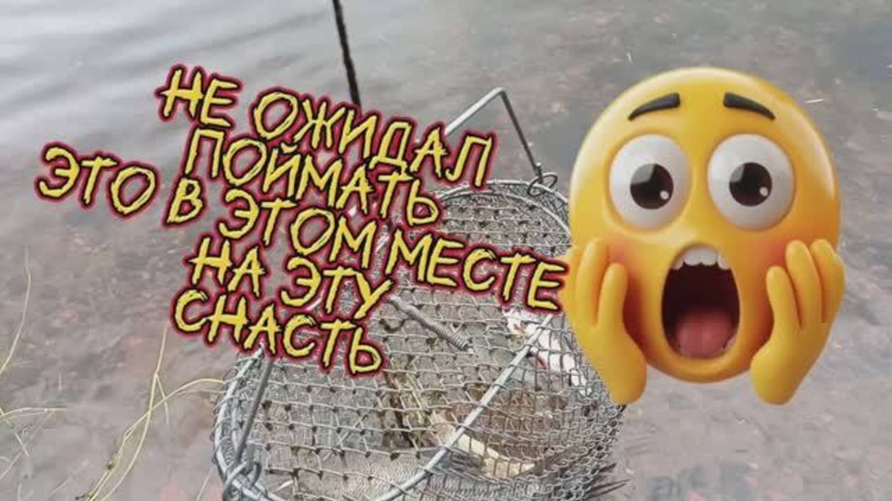 Это не ожидал 😮 поймать.