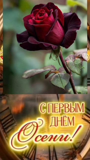 Музыка Ричарда Клайдермана в первый день осени . 🍁 смотреть онлайн