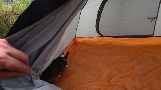 Палатка треккинговая ультралегкая 2-х мест. Hewolf Z1595P (обновленная модель 2025); 3/4