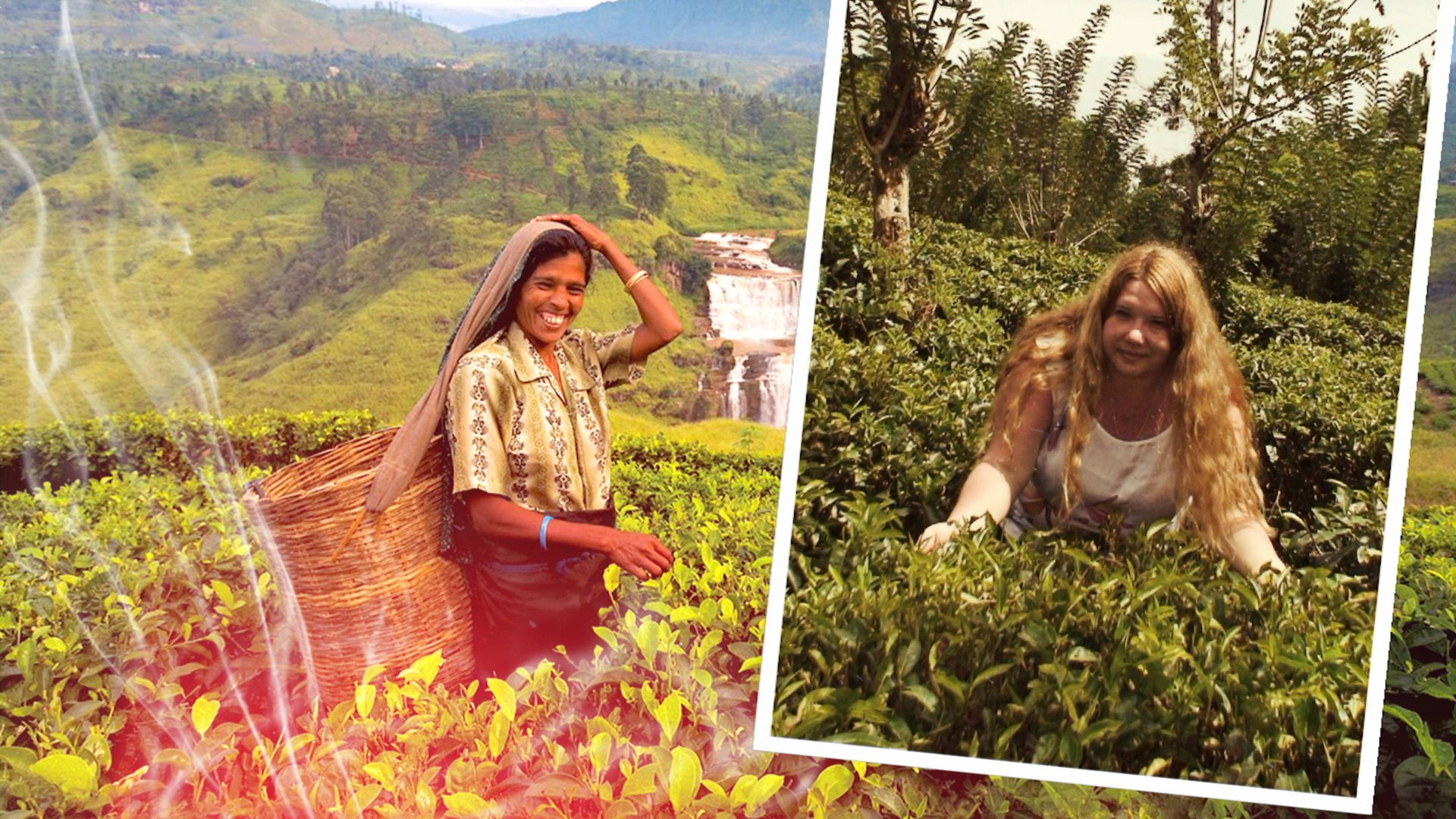 Sri Lanka, Tea Plantation
