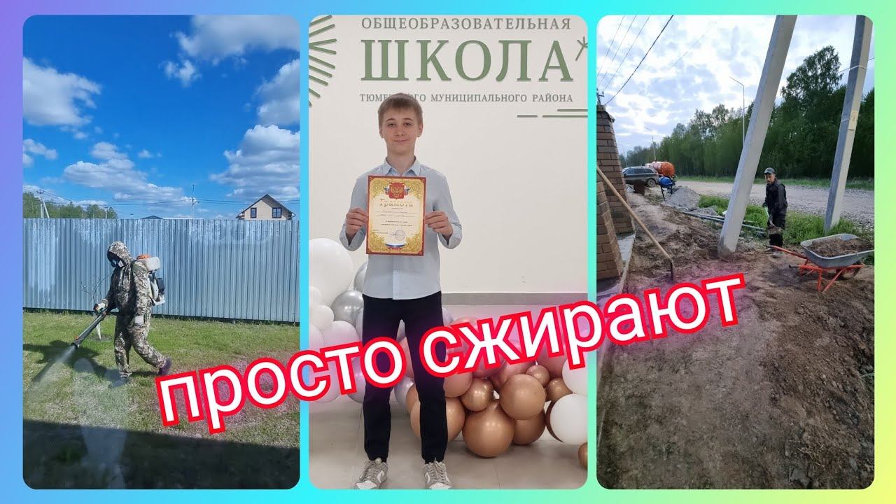 Из Германии в Россию/ 3 месяца свободы/Просто сжирают/ Столбы растут/ Тюмень/ Жизнь в России/ Влог смотреть онлайн