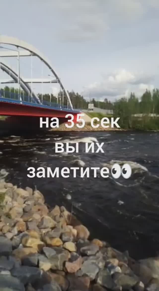 Это Карелия, это сила🌊🌊🛶🌊🌊 смотреть онлайн