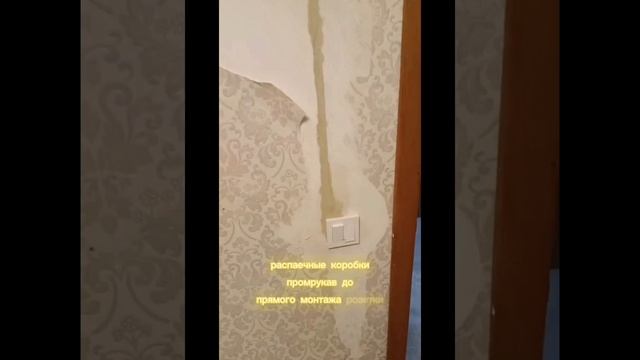 Новая чистовая электропроводка квартира 41кв/м. смотреть онлайн