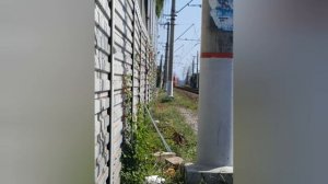 поезда на переходе возле моря