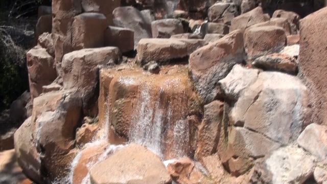 My Canary Journey смотреть онлайн