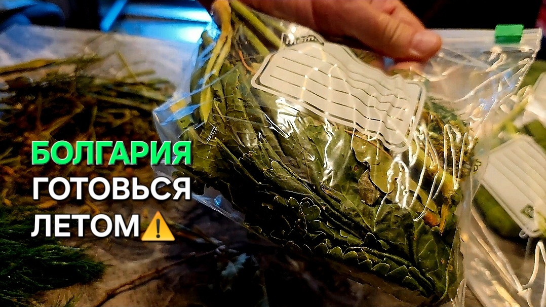 Что в Болгарии не так? смотреть онлайн