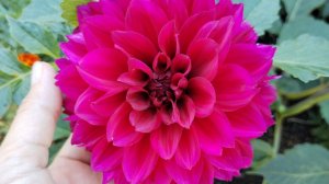 Влог с 25 - 31.08.25  Мы попали на день рождения тети !