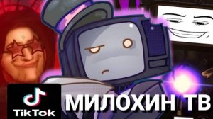 Как стать популярным тиктокером по скибиди туалет