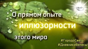 Прямой опыт иллюзорности мира. Велеса.