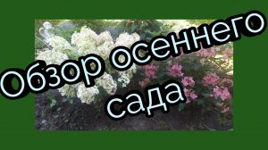 Большой обзор сада.  Ленинградская область.