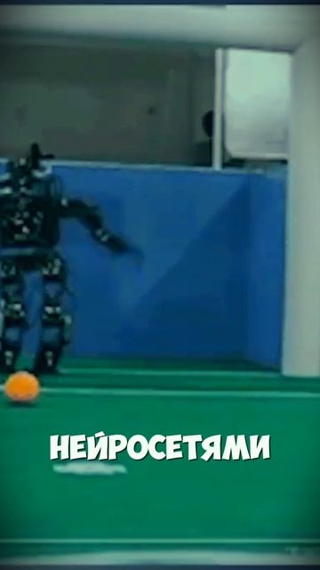 Переводы в Китай 2025 - Что Выбрать