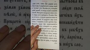 Огонь в груди. Как в горе, скорбях, болезнях не потерять доверие Богу. Не идёт молитва Иисусова.