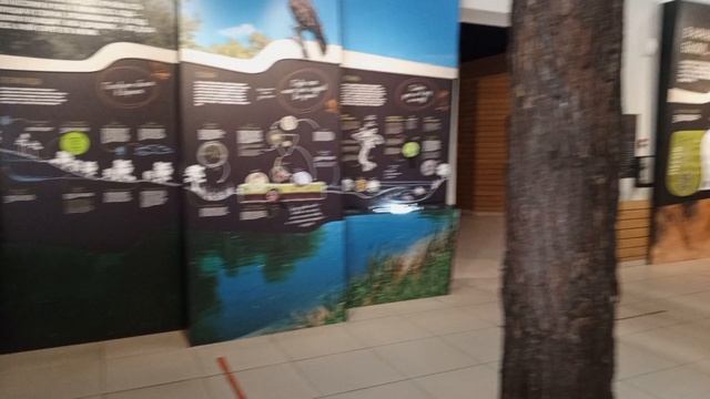 Воронежский биосферный заповедник. Бобры добры!