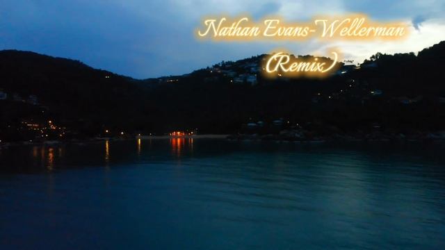Nathan Evans-Wellerman 
(Remix)