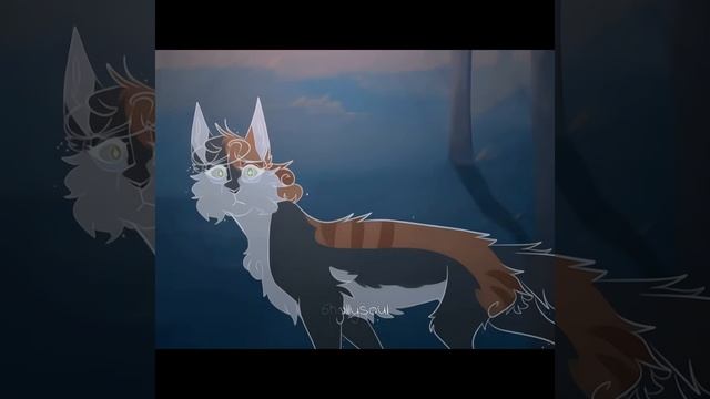 эдиты Коты воители (видео не мои)