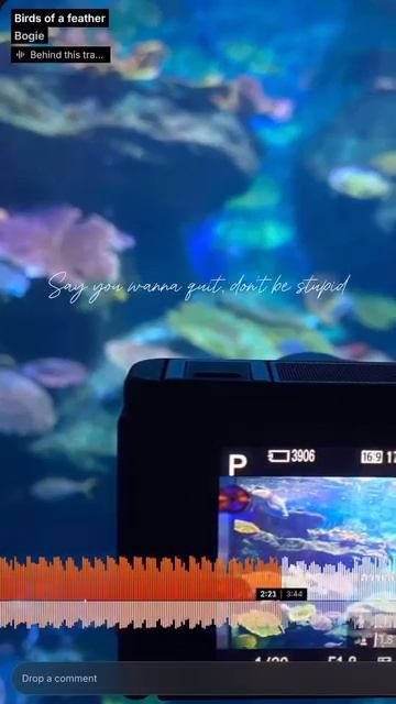 3538572321059963300 смотреть онлайн