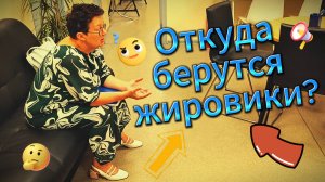 Опасны ли жировики и папилломы на самом деле?