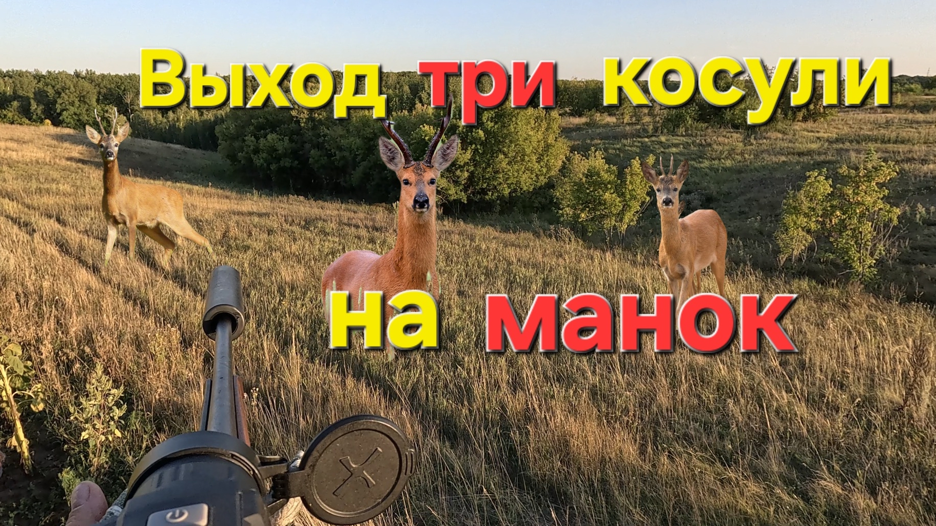Охота на косулю с манком .Три козла,трудный выбор, у кого какие рога.2025 смотреть онлайн