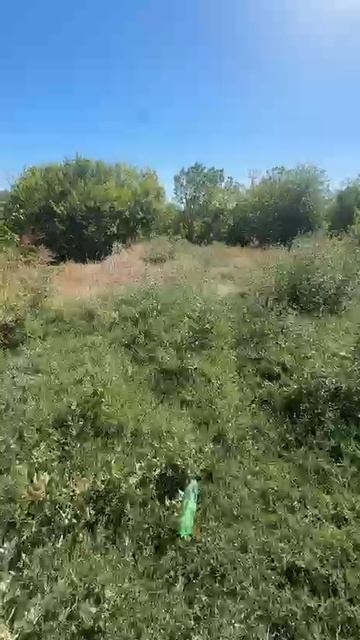 9714116 смотреть онлайн